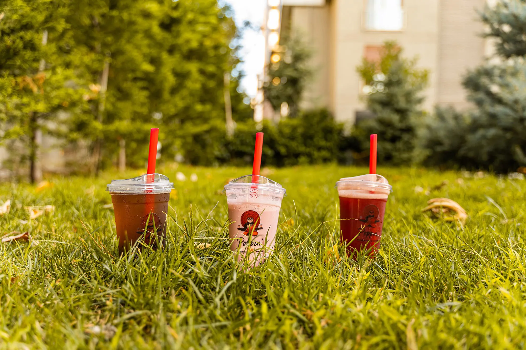 Bubble Tea Nedir?